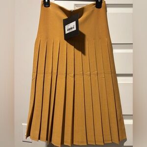 NWT Aleeza Paris Pleated Nugget (color) Skirt 25 inch.